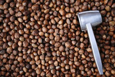 Hazelnuts in shell and metal tool for cracking nuts Stock Photos