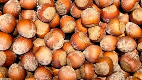 Hazelnuts in shell background texture close up Фото