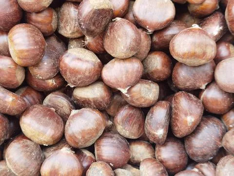 Hazelnuts with shell in bulk but isolated delicious Stock Photos