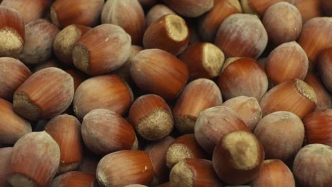 Hazelnuts In Shell Close Up Pile Of Nuts 库存影片 345923189