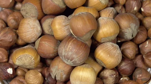 Hazelnuts in Shell Stock Footage 48985396