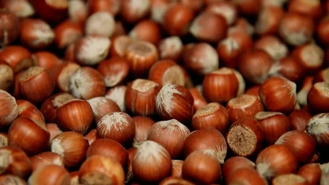 Hazelnuts in a shell in a grocery store Stock Footage 209145981