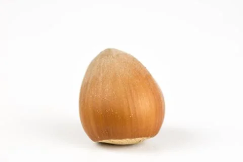 Hazelnuts in shell on a kitchen table. Hazel fruit as an addition to kitchen  Stock Photos