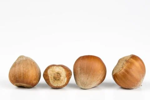Hazelnuts in shell on a kitchen table. Hazel fruit as an addition to kitchen  Stock Photos