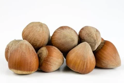 Hazelnuts in shell on a kitchen table. Hazel fruit as an addition to kitchen  Stock Photos