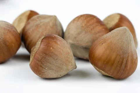 Hazelnuts in shell on a kitchen table. Hazel fruit as an addition to kitchen  Stock Photos
