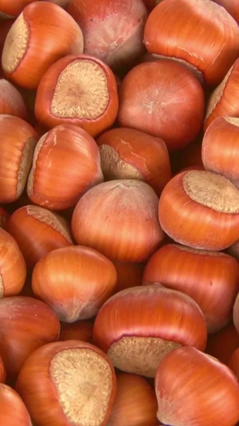Hazelnuts in the shell at the market	 Stock Footage 249246988