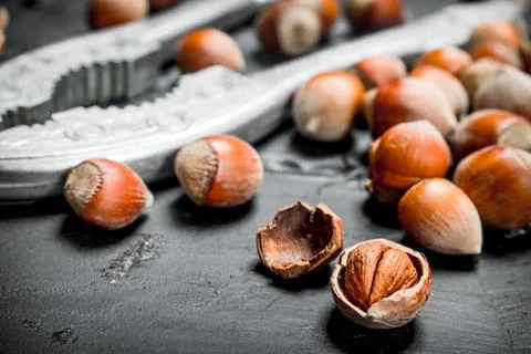 Hazelnuts in a shell with a Nutcracker. Stock Photos