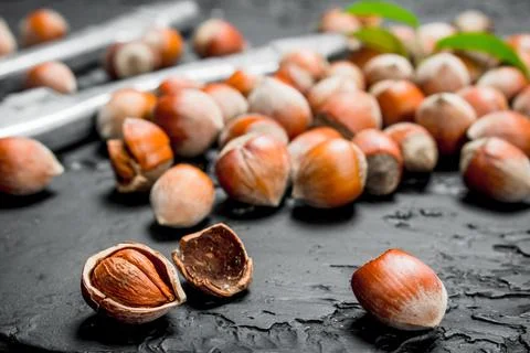 Hazelnuts in a shell with a Nutcracker. Stock Photos