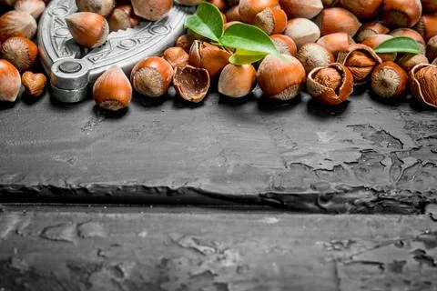 Hazelnuts in a shell with a Nutcracker. Stock Photos