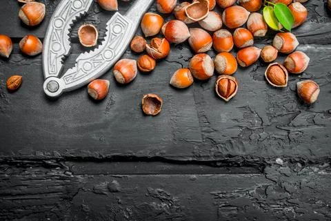 Hazelnuts in a shell with a Nutcracker. Stock Photos