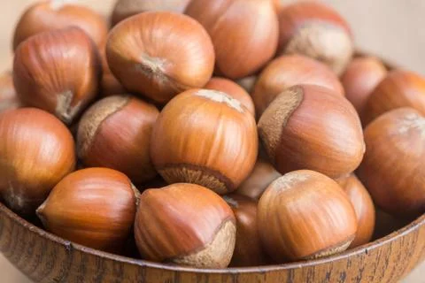 Hazelnuts in shell Stock Photos