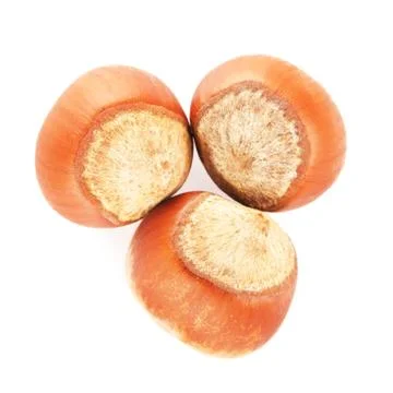 Hazelnuts In A Shell Stock-Fotos