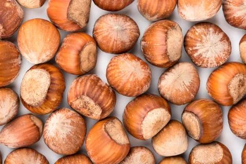 Hazelnuts in shell Stock Photos