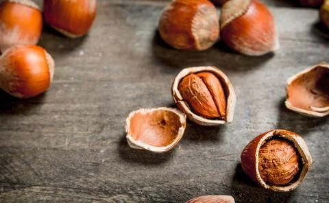 Hazelnuts in the shell. Stock Photos