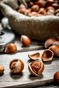 Hazelnuts in the shell. Stock Photos