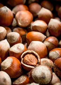 Hazelnuts in the shell. Stock Photos