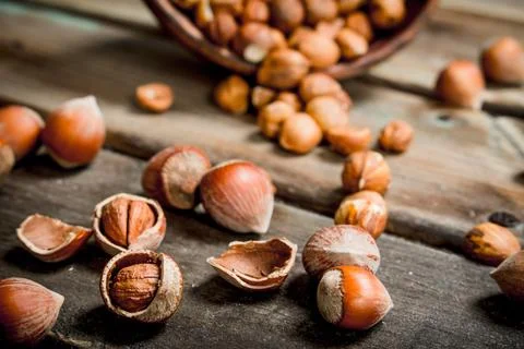 Hazelnuts in the shell. Stock Photos