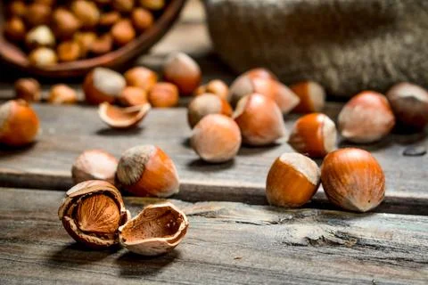 Hazelnuts in the shell. Stock Photos