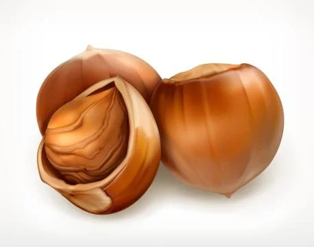 Hazelnuts in shell, vector icon Stock Illustration