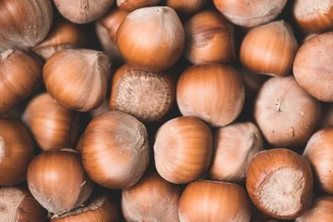 Hazelnuts with shells closeup top view. Autumn season harvesting. Stock Photos