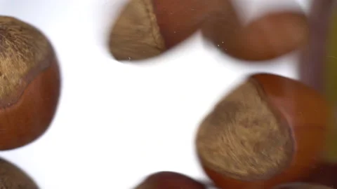 Hazelnuts in shells fall on glass on a bright white background. Close-up bottom Stock Footage 148448491