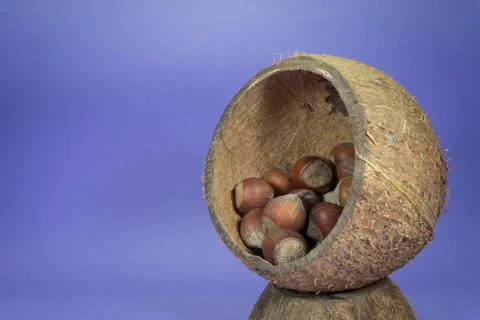 Hazelnuts with shells in natural coconut shell cup Stock Photos