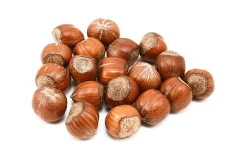 Hazelnuts in shells Stock Photos