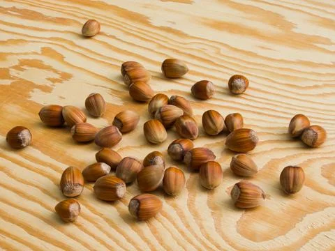 Hazelnuts in shells scattered on a wooden table top. Stock Photos