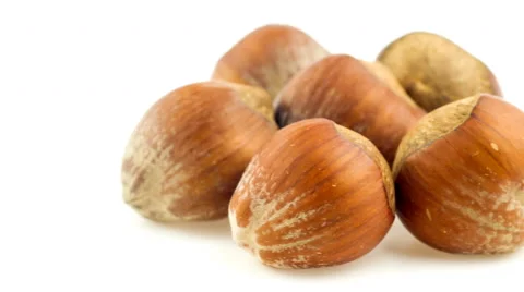 Hazelnuts in shells sliding from right to left in and out of view on white Stock Footage 47432253