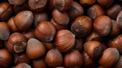 Hazelnuts slow motion background. Video stock 274136441