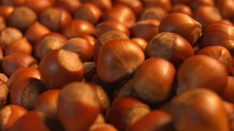 Hazelnuts. Slow motion. Horizontal pan. Close-up. Video stock 69879004