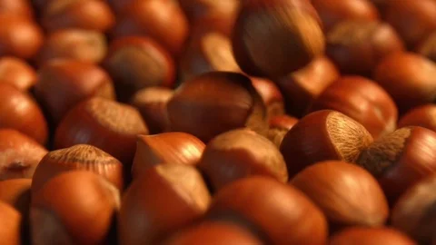 Hazelnuts. Slow motion. Vertical pan. Видео 69878587
