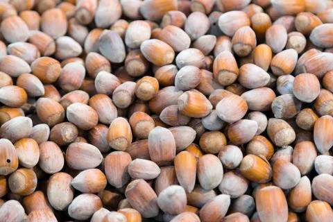 Hazelnuts sold in fruit ant vegetable market. Good grains eat healthy Stock Photos