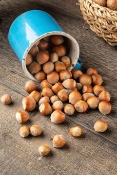 Hazelnuts spilled from a blue pot on a table Stock Photos