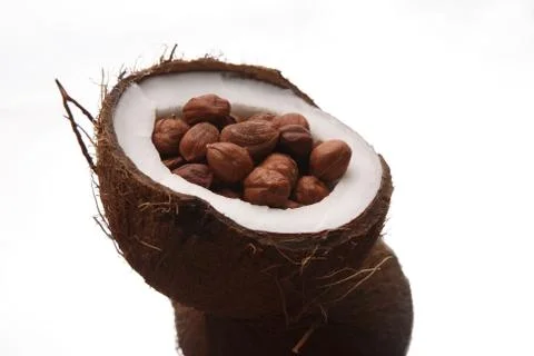 Hazelnuts in a split coconut on white background 库存照片