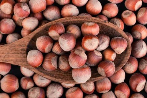 Hazelnuts in a spoon on a dark background Stock Photos