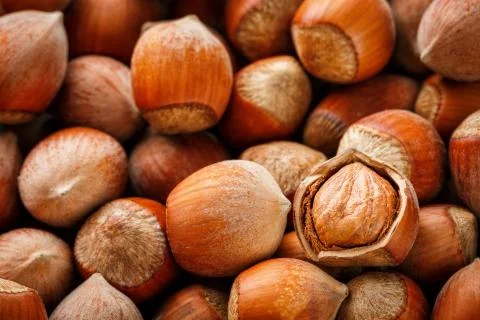 Hazelnuts. Stack of hazelnuts. Food background. Hazelnut background. Hazelnut Foto stock