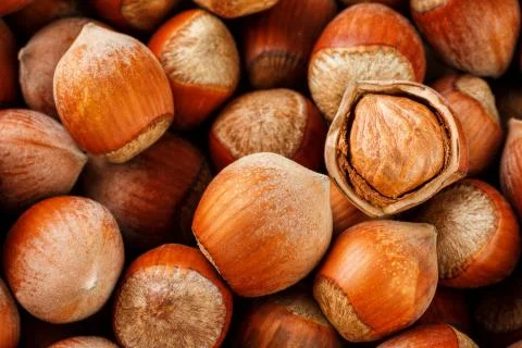 Hazelnuts. Stack of hazelnuts. Food background. Hazelnut background. Hazelnut Stockfoto's