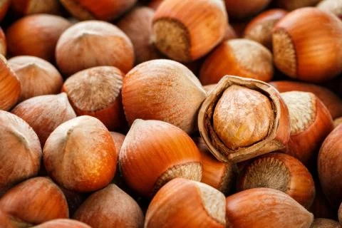 Hazelnuts. Stack of hazelnuts. Food background. Hazelnut background. Hazelnut Stock Photos