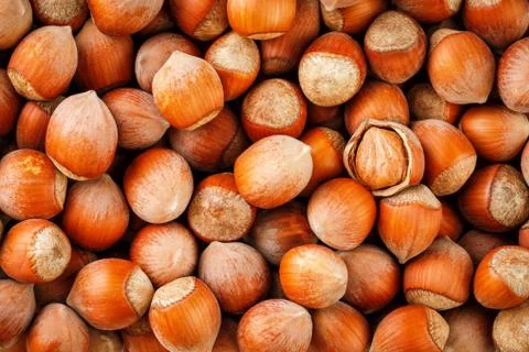 Hazelnuts. Stack of hazelnuts. Food background. Hazelnut background. Hazelnut Stockfoto's