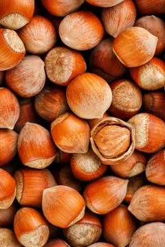 Hazelnuts. Stack of hazelnuts. Food background. Hazelnut background. Hazelnut Stockfoto's