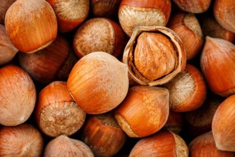 Hazelnuts. Stack of hazelnuts. Food background. Hazelnut background. Hazelnut Stockfoto's