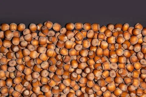 Hazelnuts. Stack of hazelnuts. Food background. Hazelnut on darck background Stockfoto's