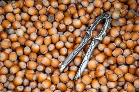 Hazelnuts. Stack of hazelnuts Stockfoto's