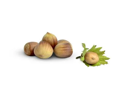 Hazelnuts stacked in a slide and one nut in leaves isolated on a white back.. Stock Photos