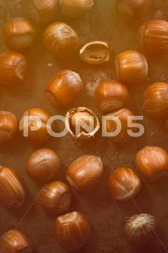 Hazelnuts on the table in rays of sunlight Stock Photos