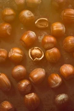 Hazelnuts on the table in rays of sunlight Stock Photos