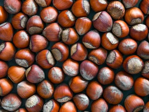 Hazelnuts textured background, top view Stock Photos