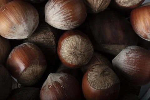 Hazelnuts on the Top of Other Nuts Stock Photos